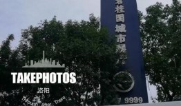 碧桂园房地产最新爆料视频,揭秘未来地产巨头的发展蓝图